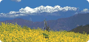 Ganesh Himal Region Trek Ganesh Himal Region Trek