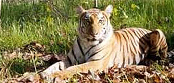 Cultural City and National Park Tour Cultural City and National Park Tour